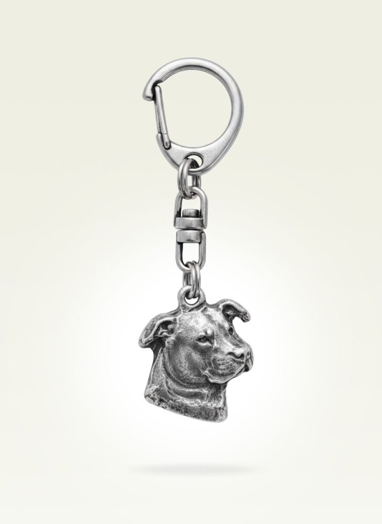 american_staffordshire_terrier.jpg